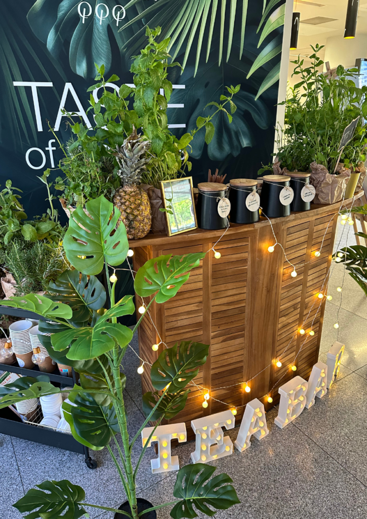 bar ziołowy tea bar