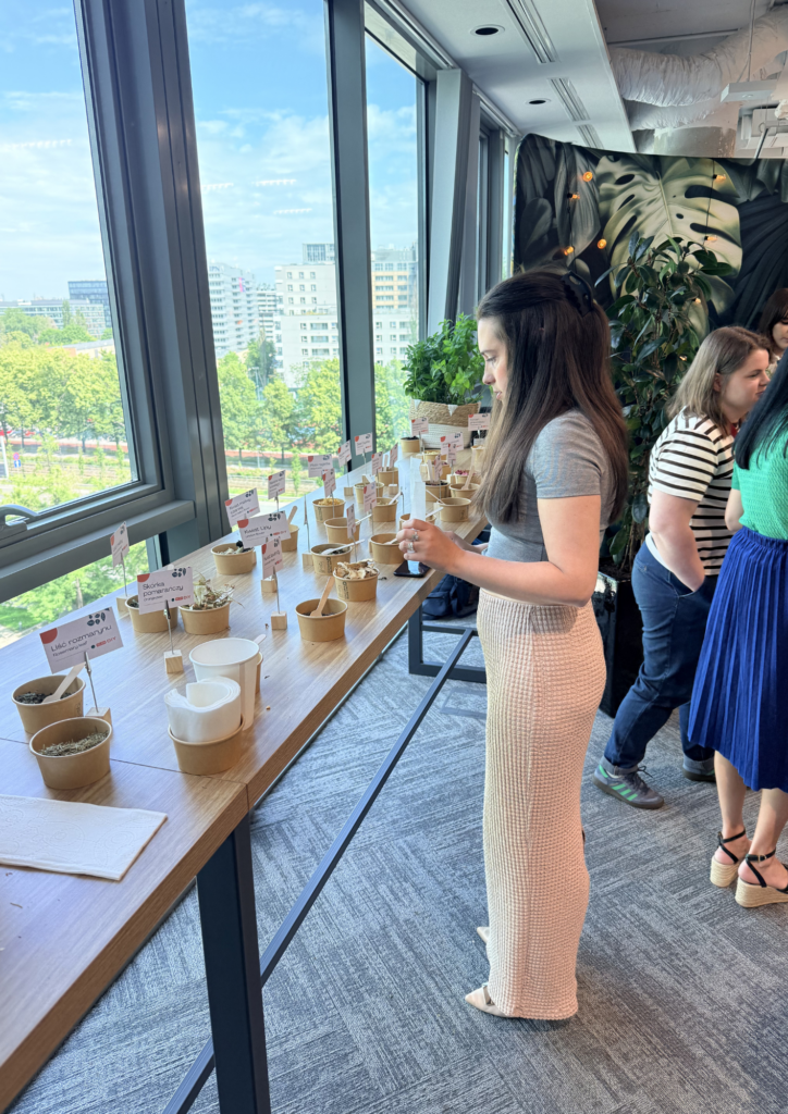 tea bar wersja diy zioła do skomponowania własnej mieszanki